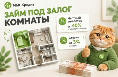 Инфографика: комната в коммунальной квартире, частный инвестор до 40% стоимости, ставка от 3% в месяц